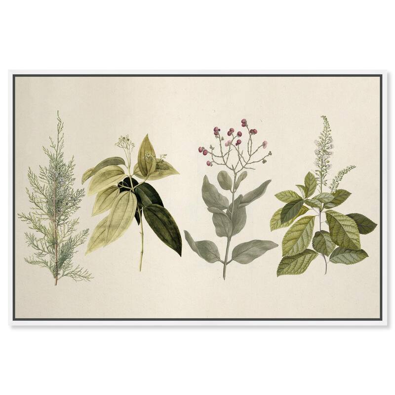 Branch Selection Canvas by Art Remedy - White - 24" x 16"