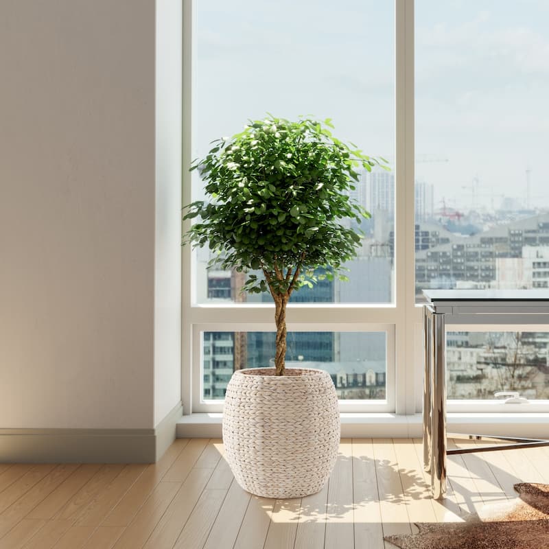 Round Water Hyacinth Storage BasketHamper with Lid