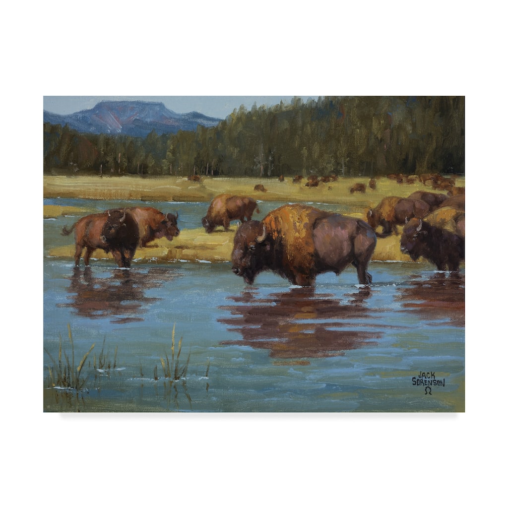 Jack Sorenson 'Buffalo Crossing' Canvas Art