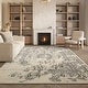 preview thumbnail 2 of 18, SAFAVIEH Adirondack Sierra Vintage Oriental Distressed Rug - Ivory/Silver - 6' x 9'