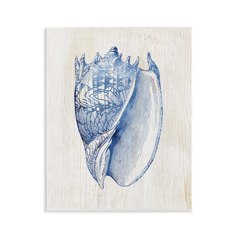 Stupell Nautical Soft Blue Conch Wall Plaque Art Design By Susan Arnot - 11 x 14