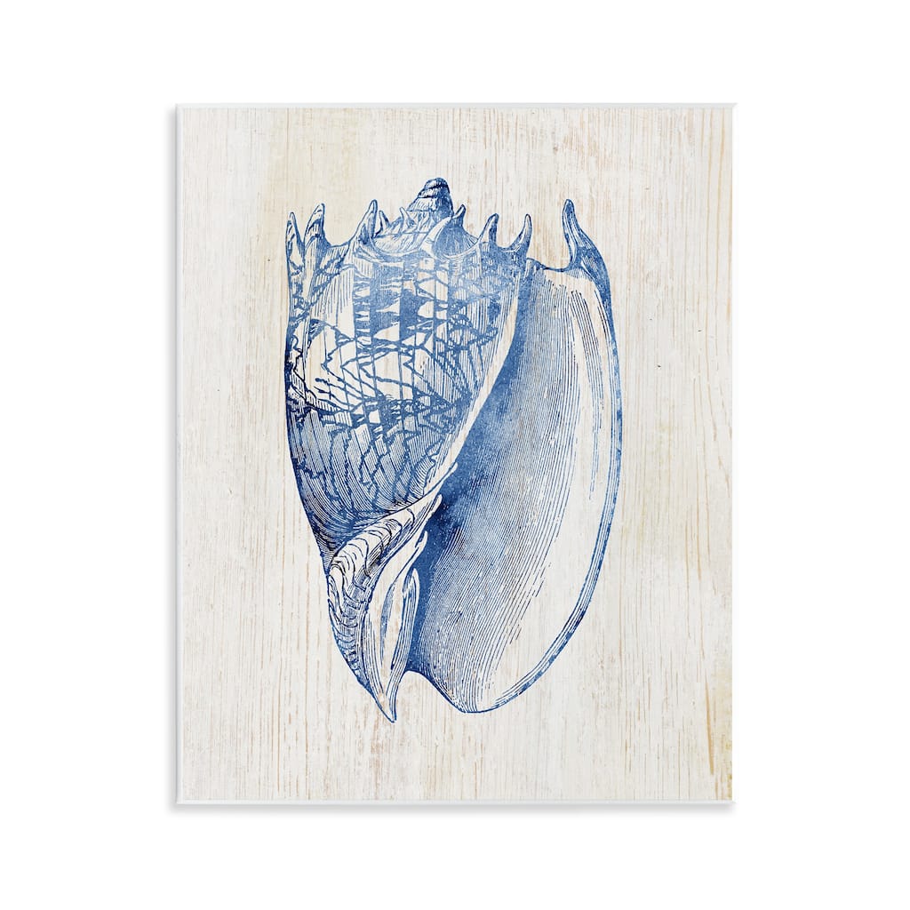 Stupell Nautical Soft Blue Conch Wall Plaque Art Design By Susan Arnot