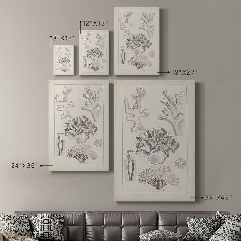Antique White Coral IV Premium Gallery Wrapped Canvas - Ready to Hang