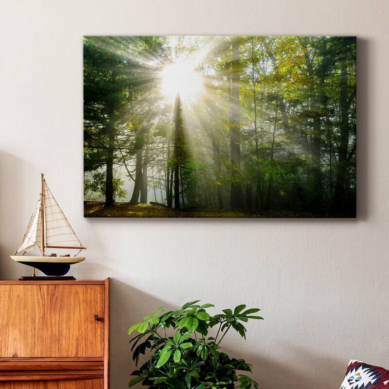 Light and Trees II Premium Gallery Wrapped Canvas - Ready to Hang