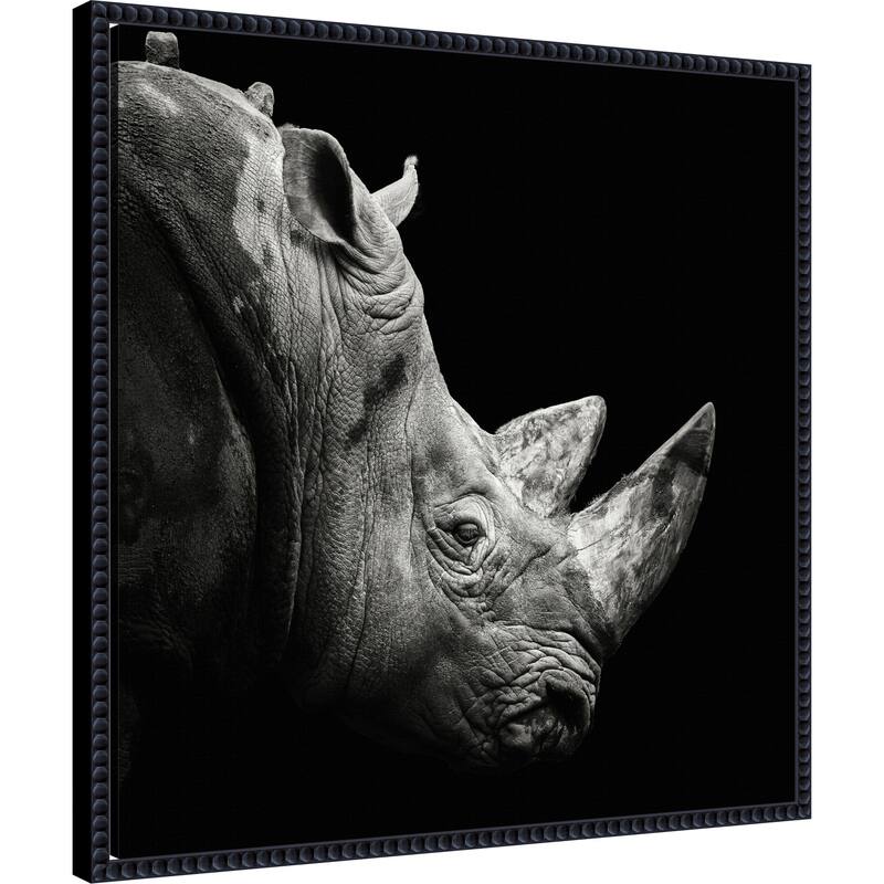 Rhino by Christian Meermann Framed Canvas Wall Art Print