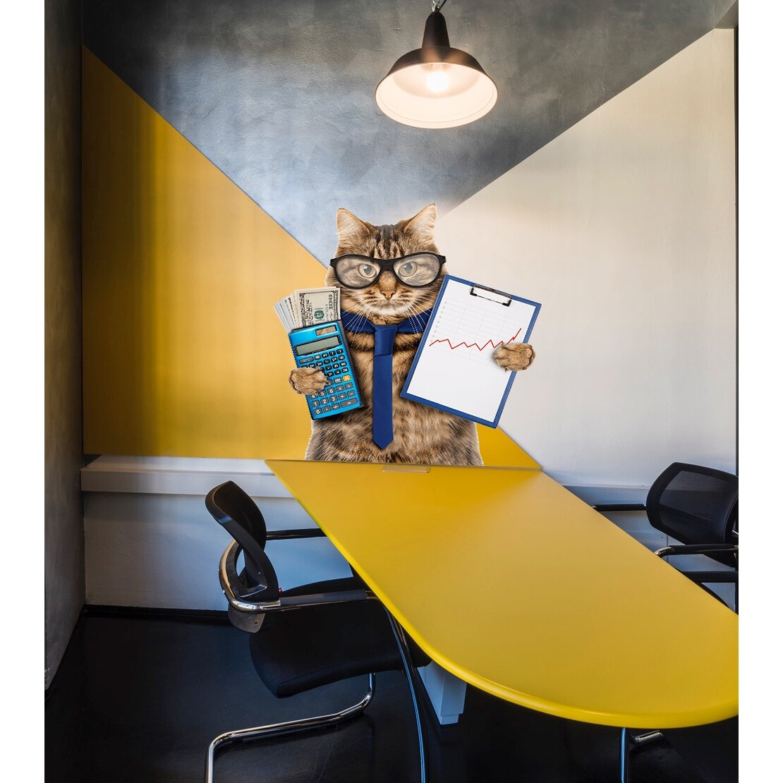 Accountant Cat Sticker, Accountant Cat Decal, Accountant Cat-image