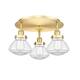 Option Clear / Satin Gold