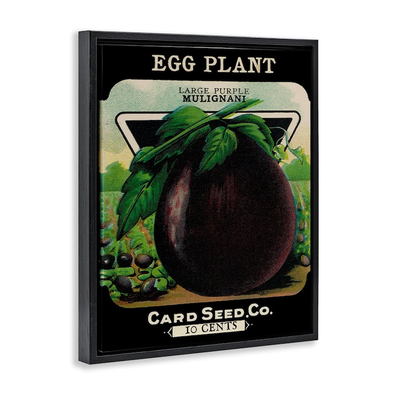 Stupell Vintage Garden Eggplant Framed Floater Canvas Wall Art Design By Lil' Rue