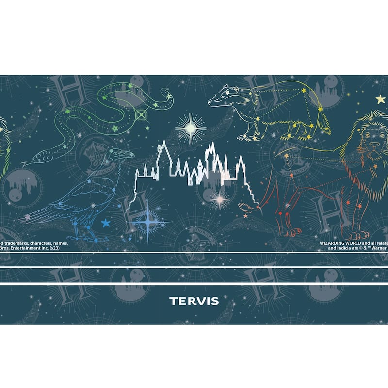 Tervis Traveler Harry Potter Marauder's Constellation Triple Walled Insulated Travel Tumbler, Stainless Steel