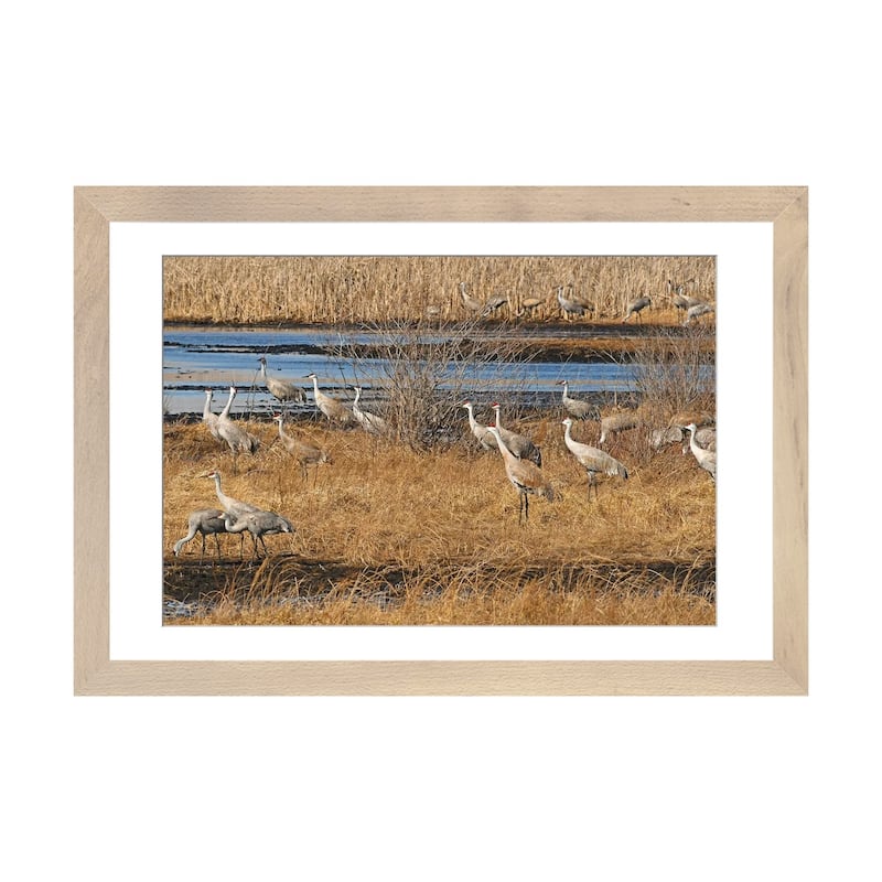 iCanvas "Sandhill Crane Migration" by Brian Wolf PFA - Natural - 16x24x1