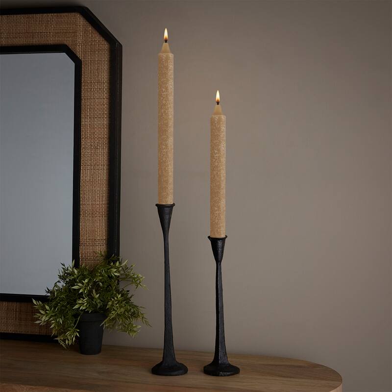 ROOT 12 Inch Unscented Timberline Arista Taper Candles box of 12 - 12 X 7/8