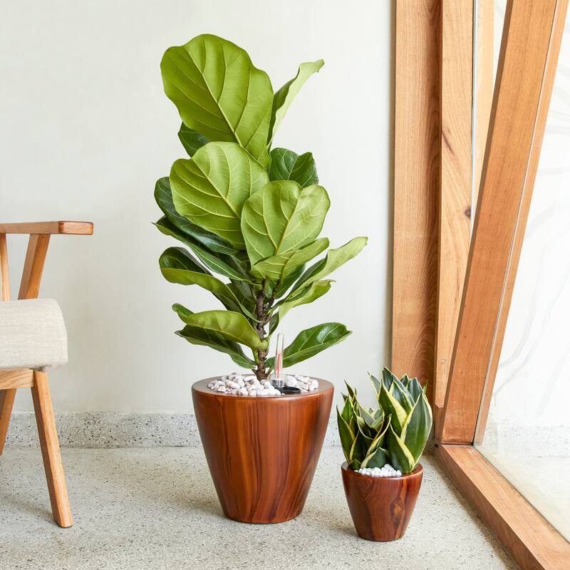 GDFStudio - Farmhouse 2-Piece Outdoor/Indoor Self-Watering Planter Pots with Drainage Plug and Water Level Indicator - 10.2" - Dark Brown