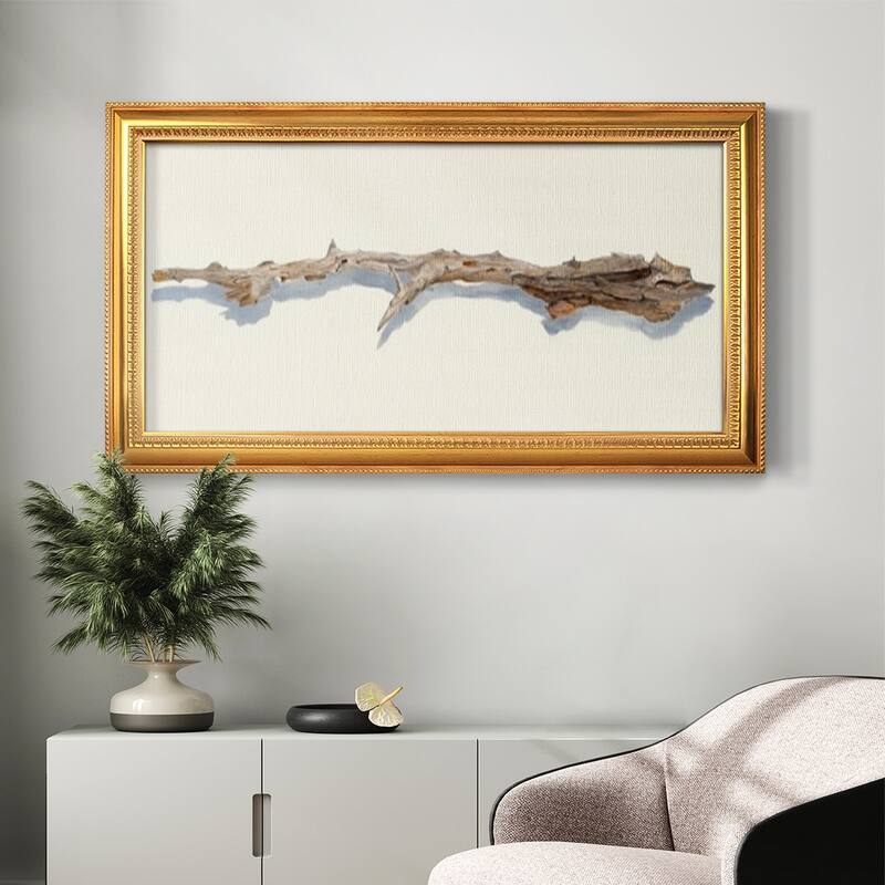 Driftwood Study I Premium Framed Canvas- Ready to Hang