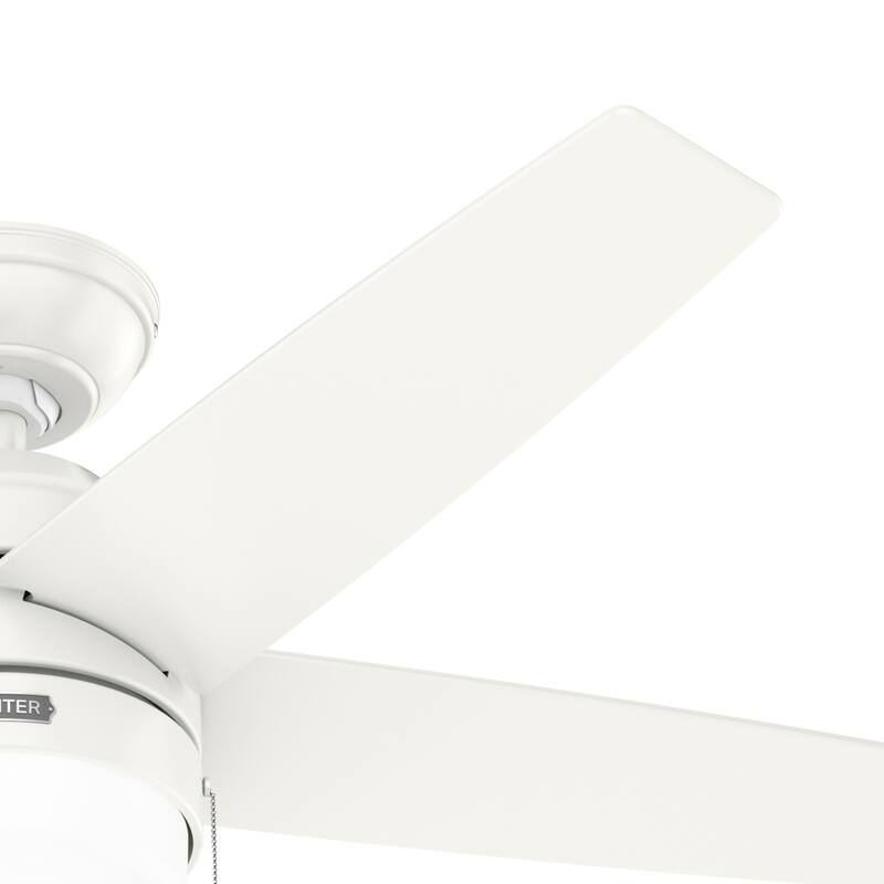 Hunter Bardot Ceiling Fan with LED Light Kit and Pull Chain, Modern, Contemporary, Transitional