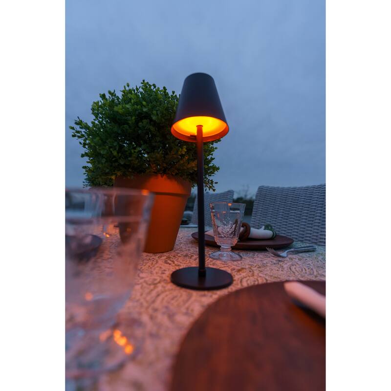 Newport 4 in 1 Patio Lamp w/Bug Deterrent Feature