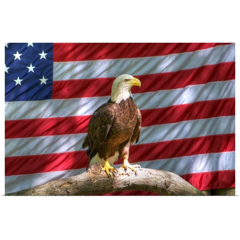 eagle american flag