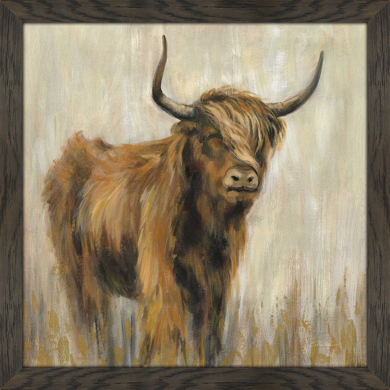 "Highland Mountain Cow" Print on Acrylic