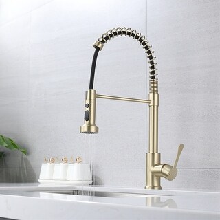 Kitchen Faucet with Pull Down Sprayer - On Sale - Bed Bath & Beyond ...