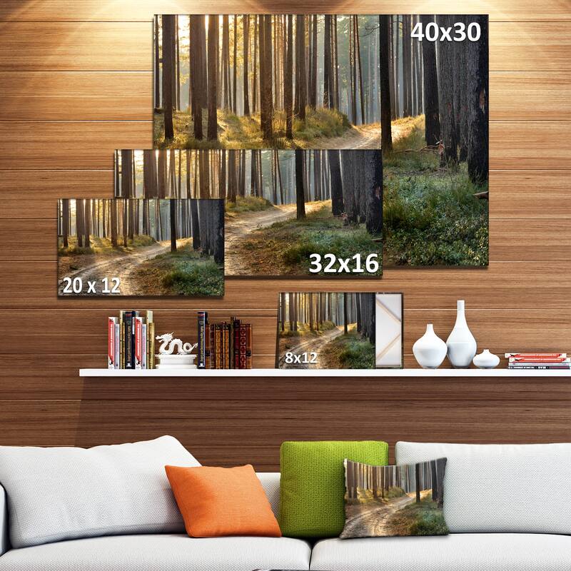 Designart "Road in Thick Morning Forest" Landscape Photo Canvas Art Print