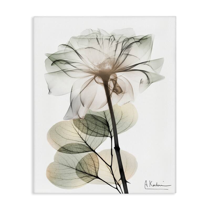 Stupell Modern Minimalist Buds Canvas Wall Art Design By Albert Koetsier - 36 x 48