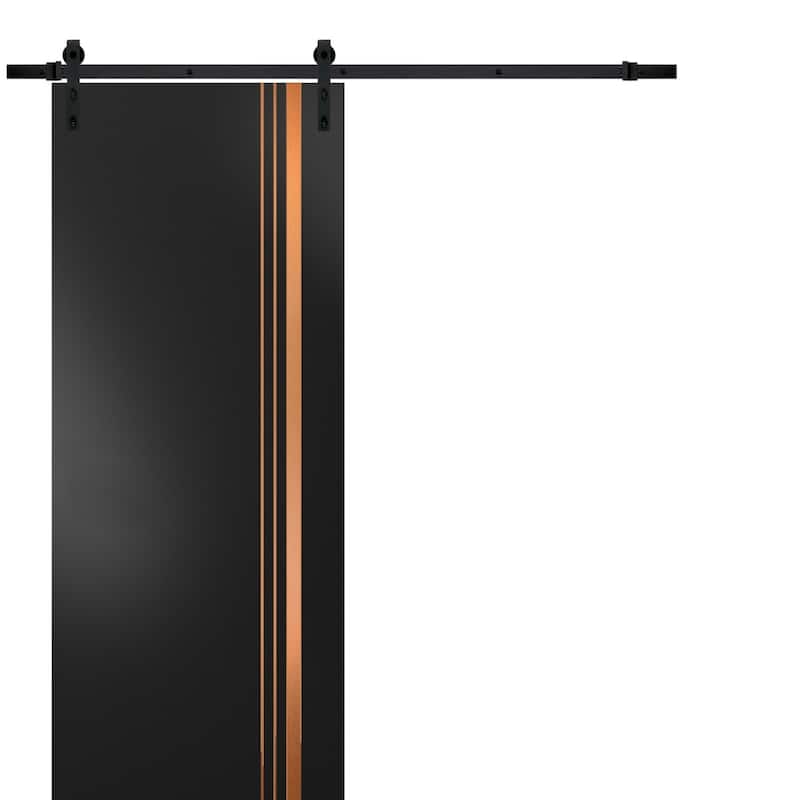 Sturdy Barn Door 18 x 80 Planum 1010 Matte Black with 6.6FT - Black - 36" x 84"