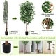 preview thumbnail 7 of 5, Tall Artificial Ficus Tree with Natural Wood Trunk for Indoor/Outdoor Decor