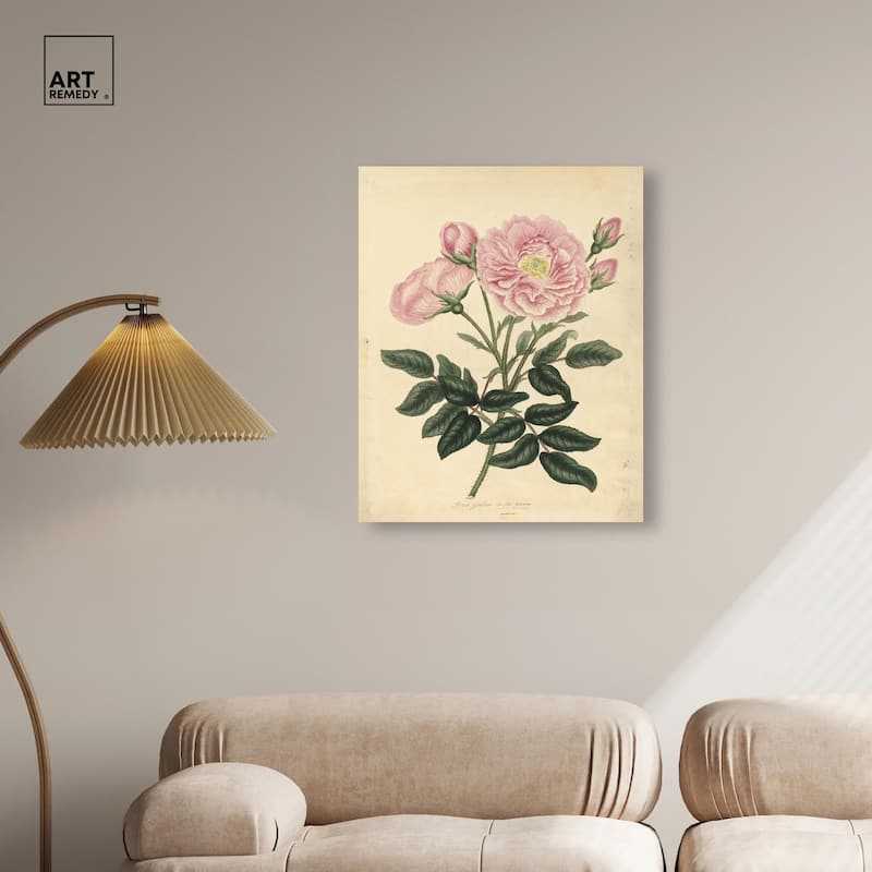 French Rose Canvas by Art Remedy, Gallery Wrapped