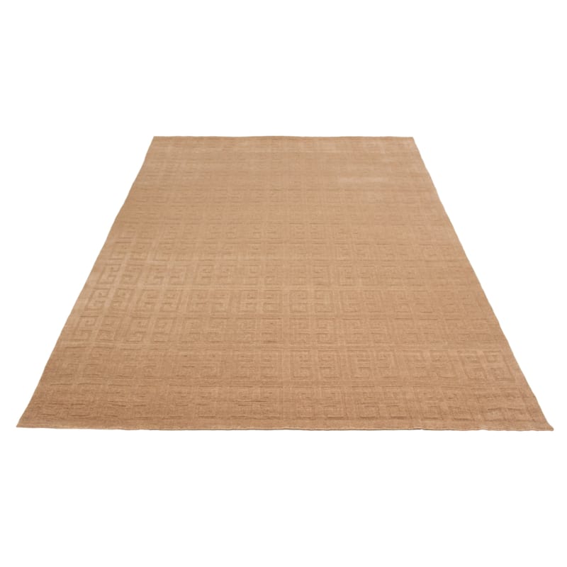 Kashkuli Gabbeh Tan Rug 8'0" x 11'0" - 8'0 x 11'0