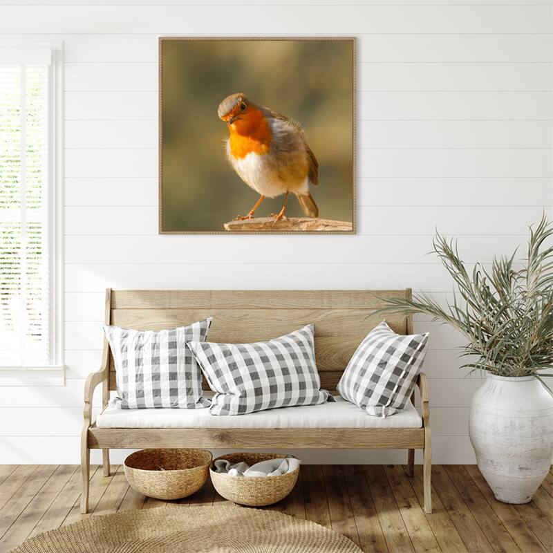 Whats up by Annie Keizer Framed Canvas Wall Art Print