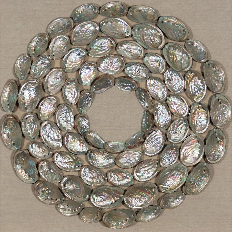 HUJI Abalone Shell Rings Shadow Box Wall Decor
