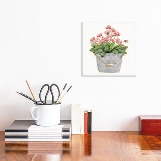 iCanvas "Country Bluch IV" by Sally Swatland Canvas Print