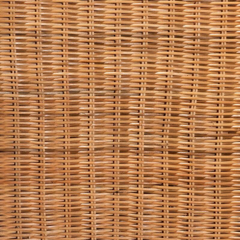 Racquel Modern Bohemian Natural Rattan and Mahogany Wood Counter Stool