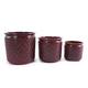 Option Bean Paste Red