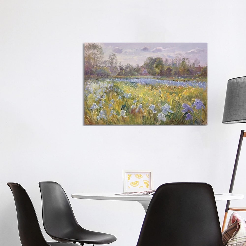 iCanvas "Iris Field In The Evening Light, 1993" by Timothy Easton Canvas Print