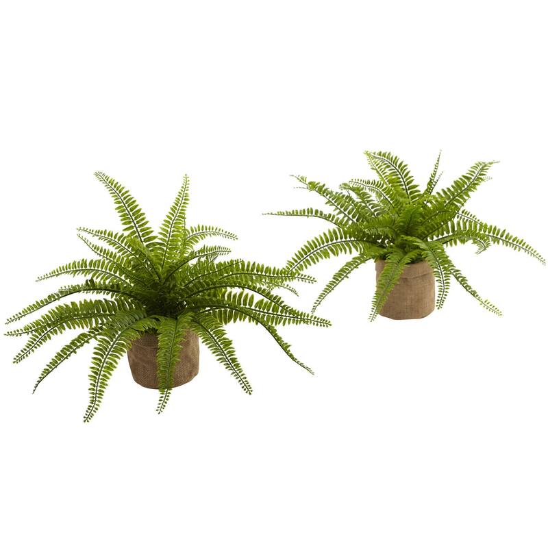 Artificial Ferns with Planters Set of 2, Greenery Home Decor, Office Plants, 22" Tall, Indoor Plants - 1.25ft.