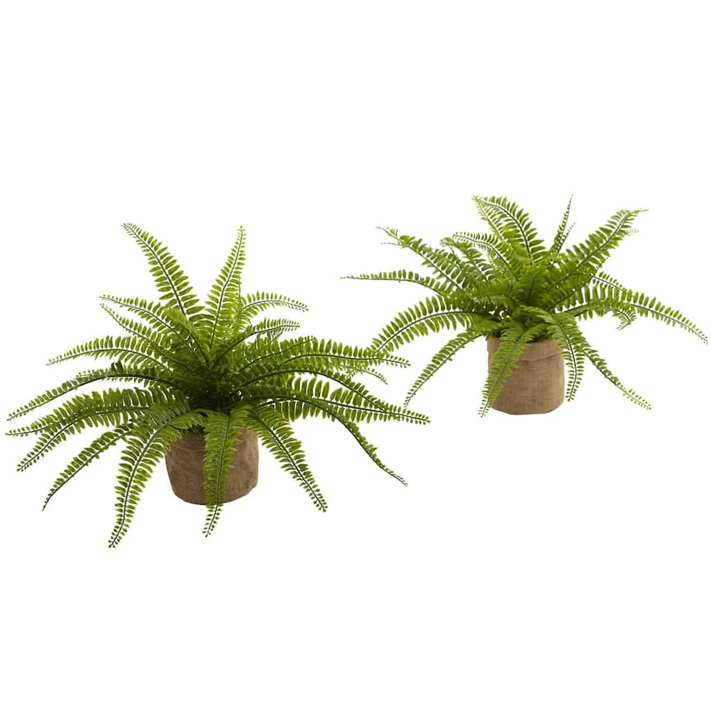 Artificial Ferns with Planters Set of 2, Greenery Home Decor, Office Plants, 22" Tall, Indoor Plants - 1.25ft.