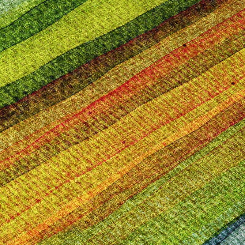 HomeRoots Striped Transitional Rectangle Outdoor Rug
