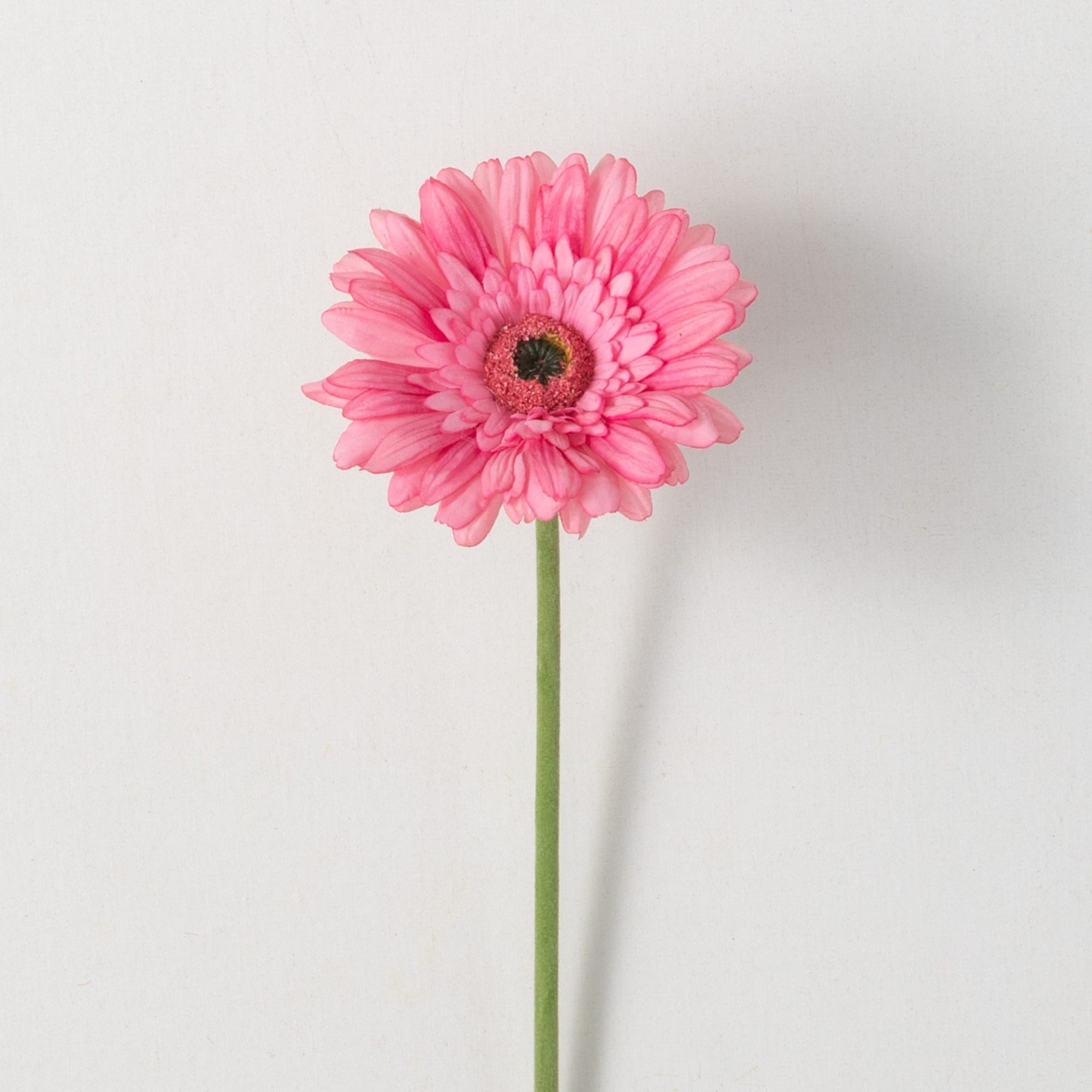Daisy ꔛ‬ෆ Retro Daisy Smile Face Svg, Digital Download Flower, Daisy