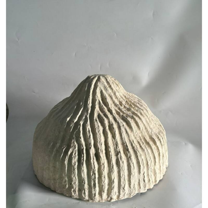 Large Paper Mache Shell Tabletop Decoration - 22.5" - Cream