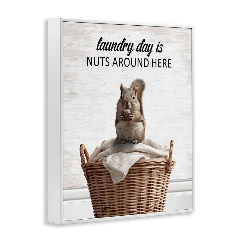 Stupell Funny Laundry Day Is Nuts Framed Giclee Art Design By Lettered and Lined