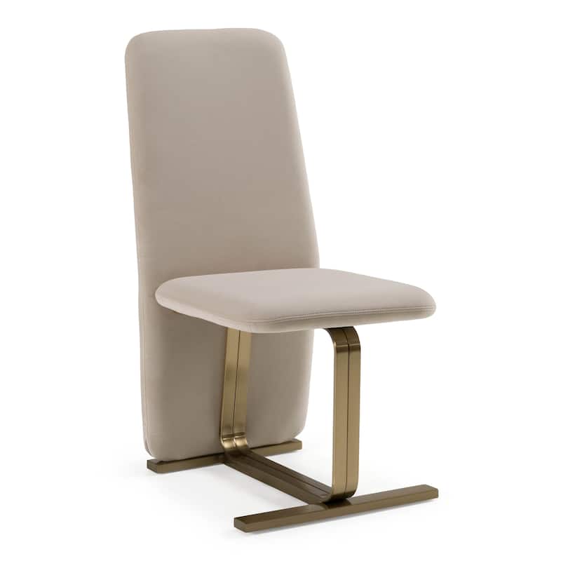 Modrest Tasha Modern Light Beige Grey Velvet & Brushed Brass Dining Chair (Set of 2)