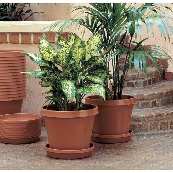 round pots for plants Mendocino Archbow Round Planter Pot  The Madd Potter