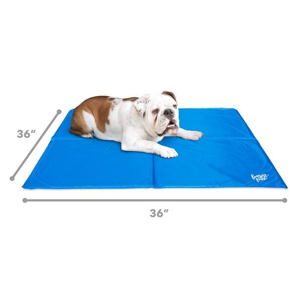 Shop Frontpet Self Cooling Gel Mat Pad Extra Large For Dogs Non