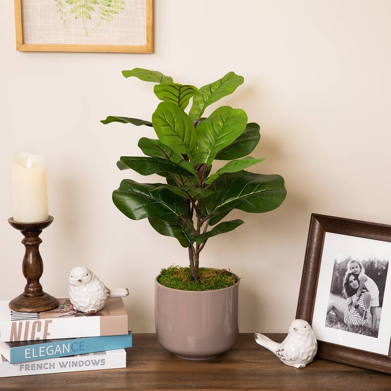 Two-Tone Fiddle Leaf Fig Artificial Potted Plant - 26" - Green