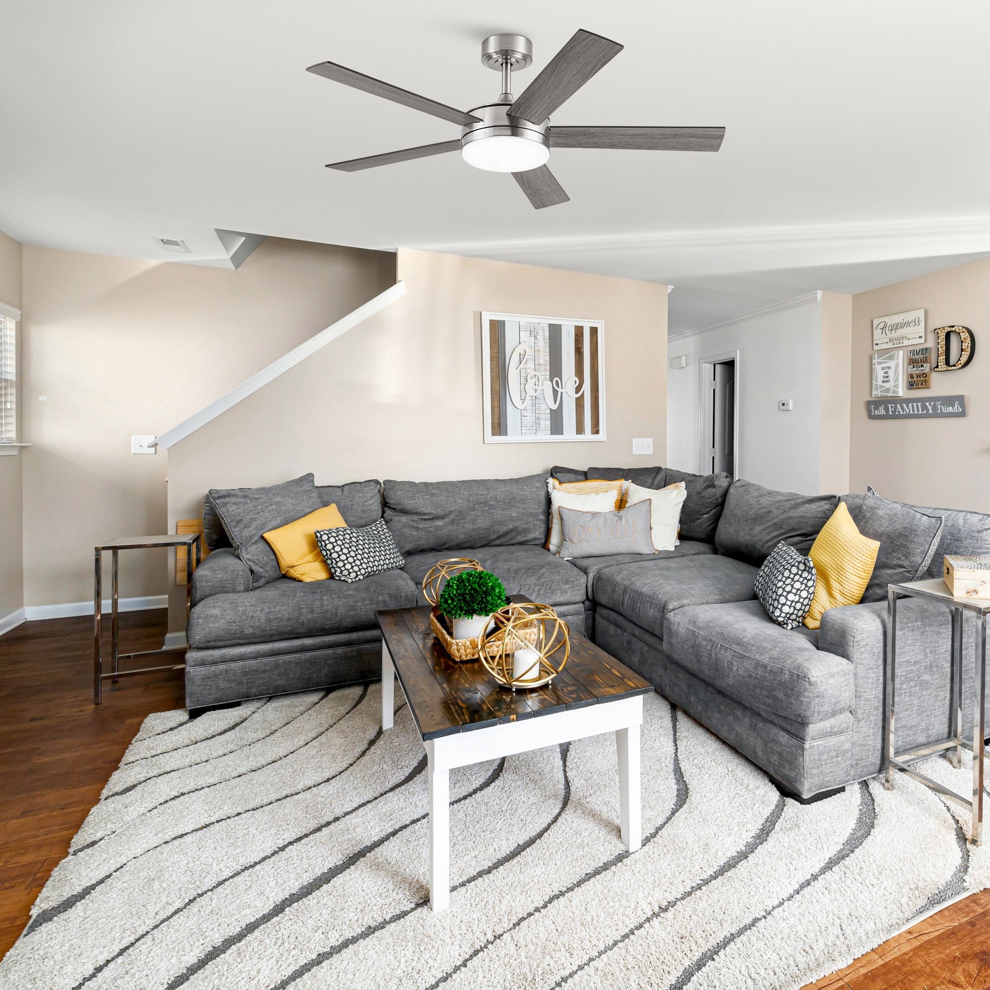 jun　48cm Vaczon 48