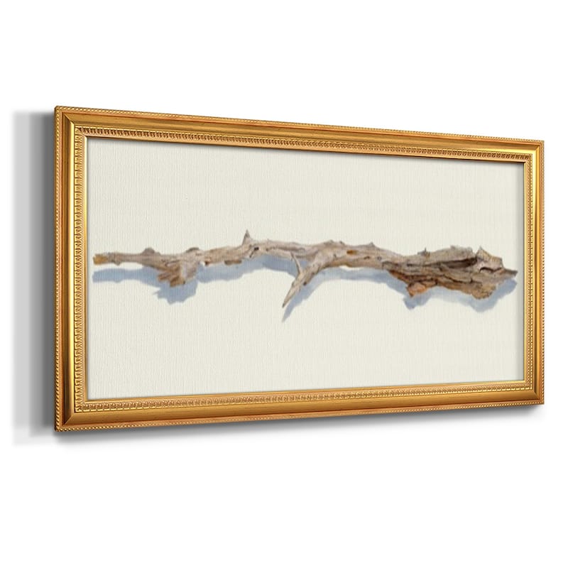 Driftwood Study I Premium Framed Canvas- Ready to Hang