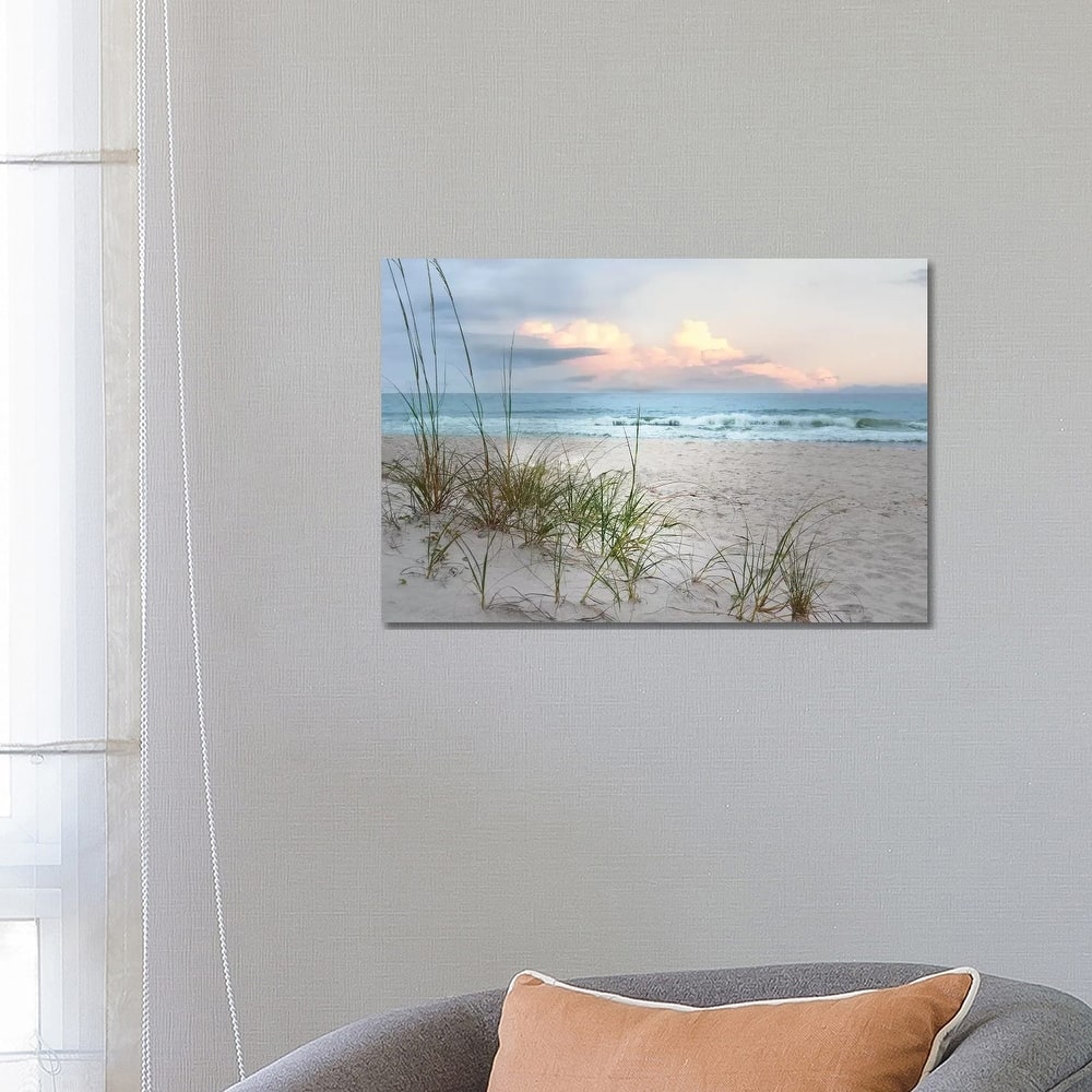 iCanvas "Beach Driftwood" by Nan Canvas Print