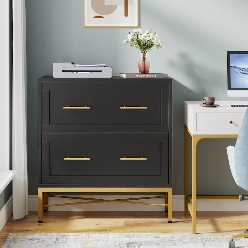 2 Drawer Lateral Filing Cabinet, Modern File Cabinet Printer Stand, Large Storage Cabinets for Letter/Legal/A4 Size, White