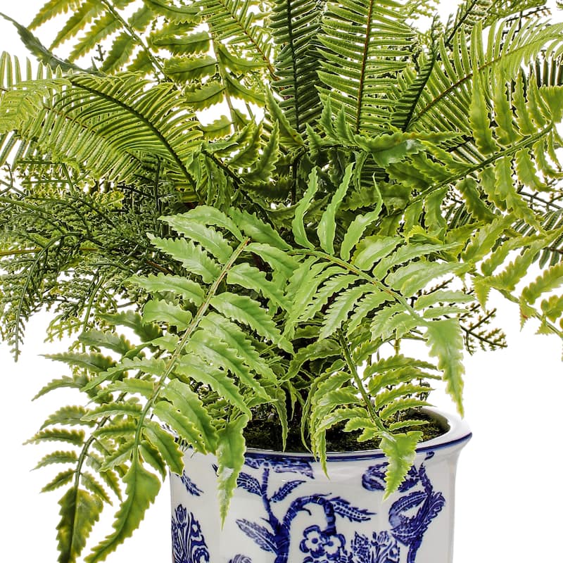Plastic Natural Touch Mixed Fern In Ceramic Pot 20'' - 20"