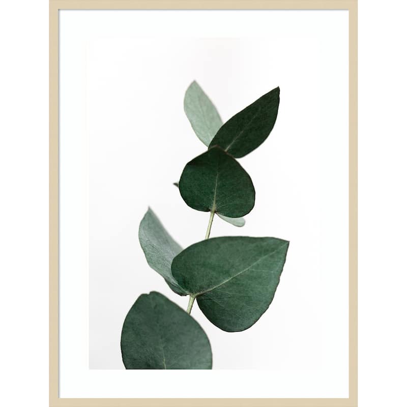 Eucalyptus 4 A1 by Mareike Bohmer Wood Framed Wall Art Print